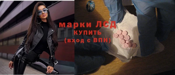 крисы Бородино