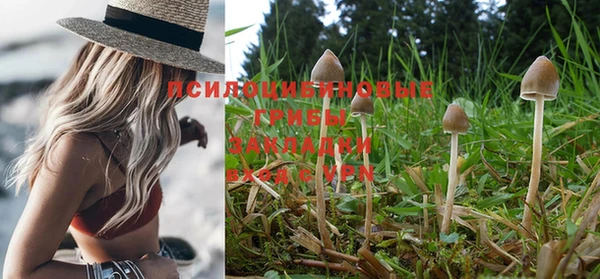 таблы Бронницы