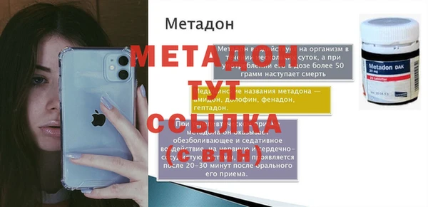 крисы Бородино