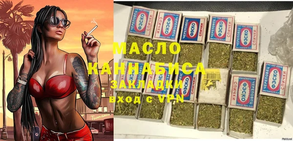 крисы Бородино