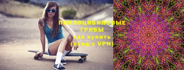 крисы Бородино