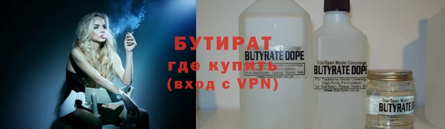 крисы Бородино
