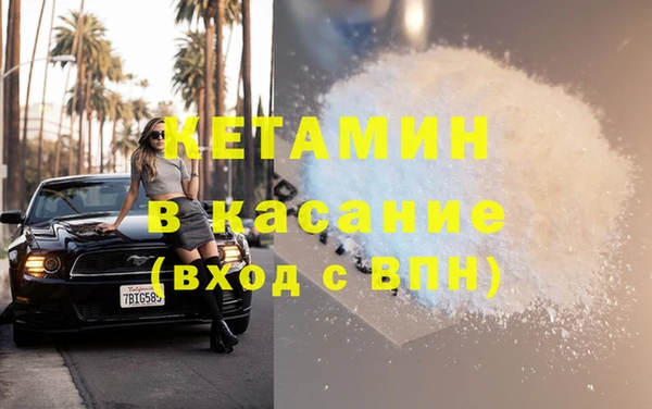 крисы Бородино