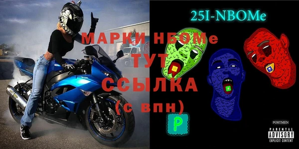 крисы Бородино
