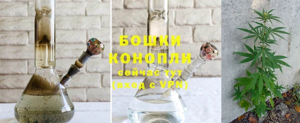 крисы Бородино