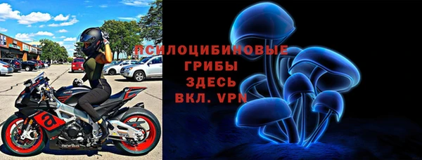 крисы Бородино
